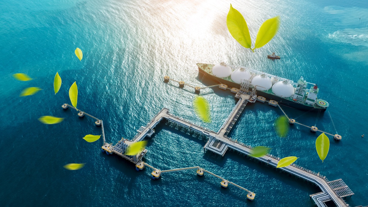 Decarbonisation, done with purpose