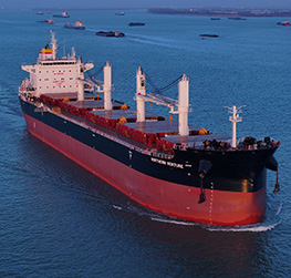 bulk carriers, venture marine services, wah kwong